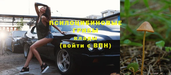 ГАЛЛЮЦИНОГЕННЫЕ ГРИБЫ Армянск