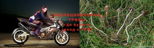 кокаин Аркадак