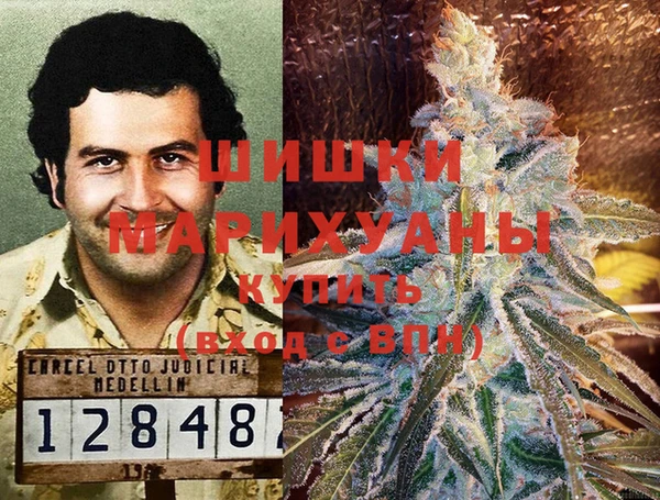 ГАЛЛЮЦИНОГЕННЫЕ ГРИБЫ Армянск