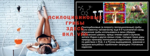 ГАЛЛЮЦИНОГЕННЫЕ ГРИБЫ Армянск